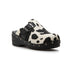 Black Cow